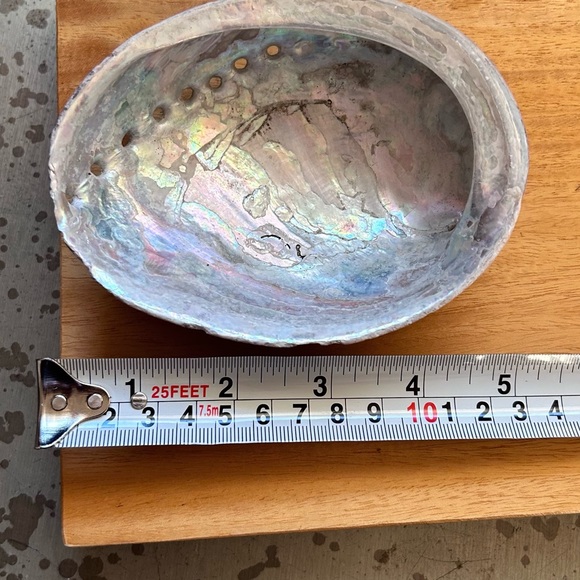 California abalone shell soap dish stocking stuffer Jewelery tray gift - Picture 4 of 5